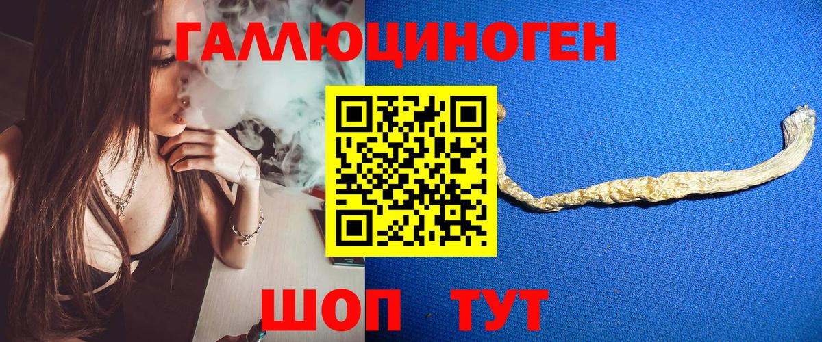 Псилоцибиновые грибы Psilocybe  Вход с VPN  Минеральные Воды 